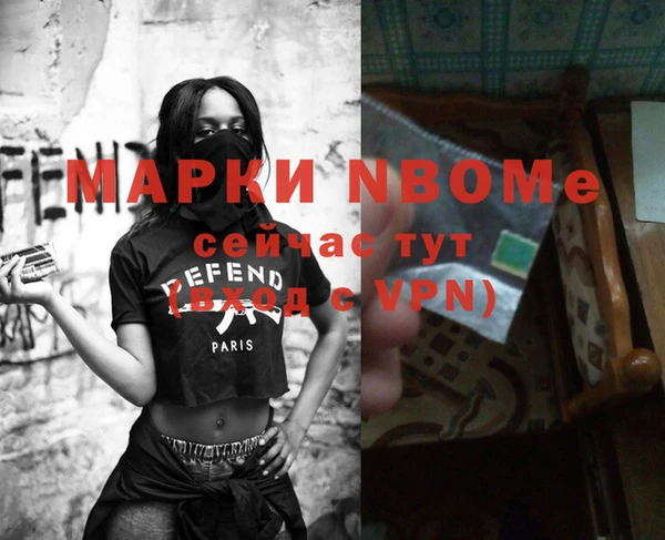 сатива Беломорск