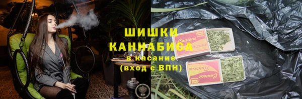 твердый Богородск