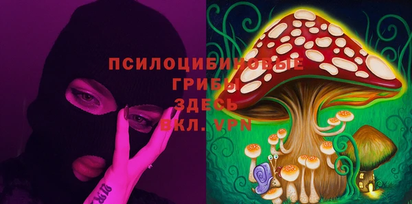 эйфоретик Богородицк