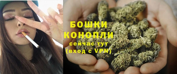 твердый Богородск